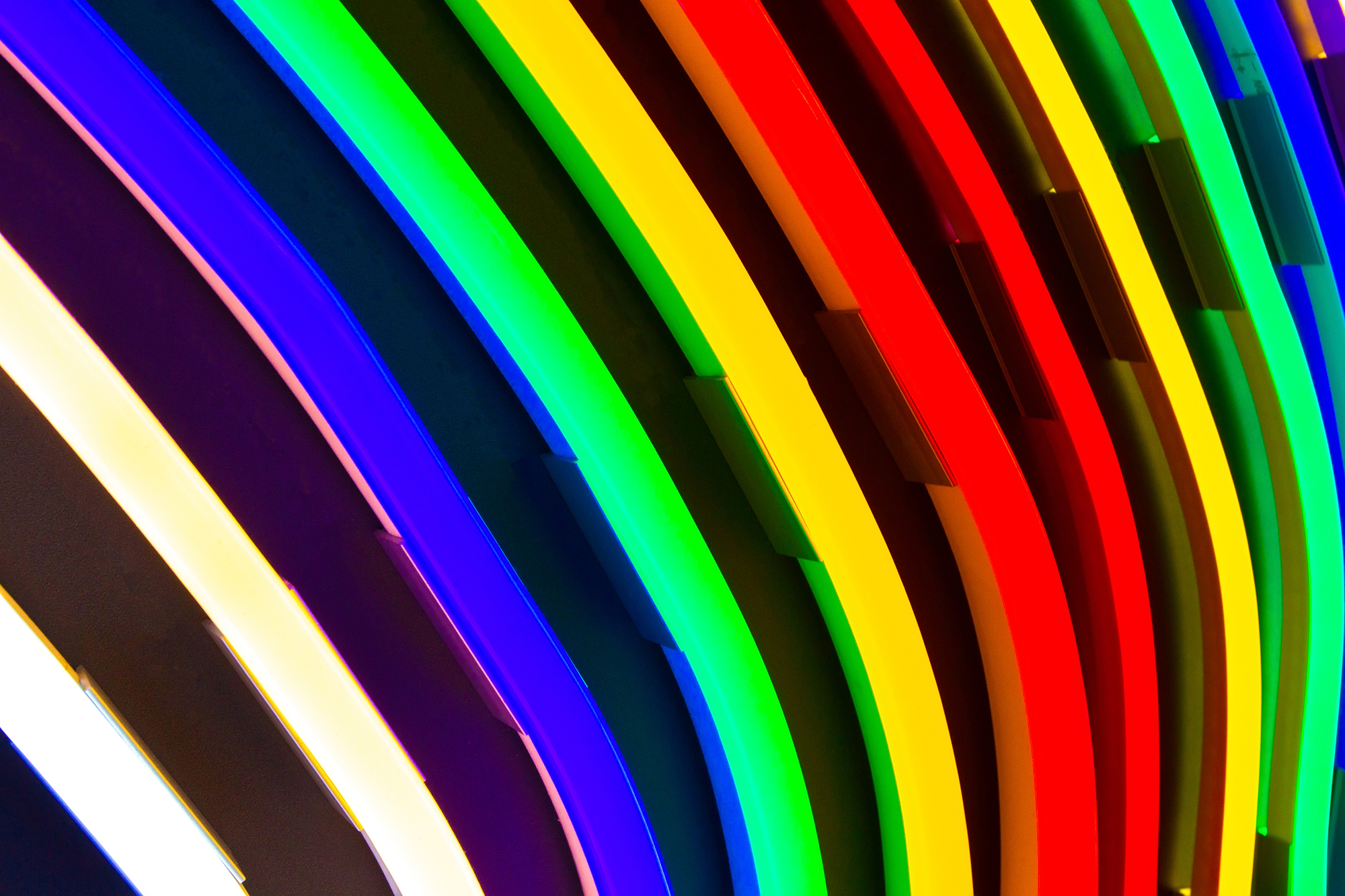 LED flexible neon light - LED Signs